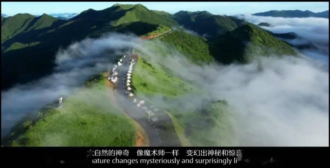 机智问答网页-高中毕业学什么好找工作?-多彩智慧答疑佳选